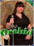 Orchid