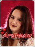 Araneae