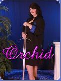 Orchid