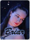 Briar
