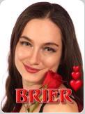 Brier